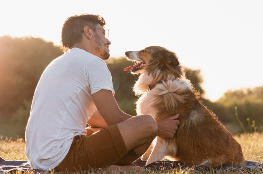 Adopt a Dog Delaware